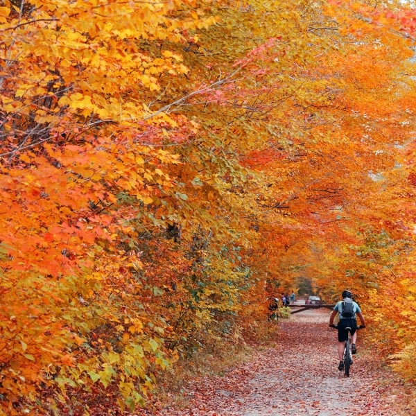Leaf Peeping Season Hotel Champlain Visit Burlington