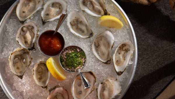 Oyster Hour - Burlington Vermont Oyster Special Half Off